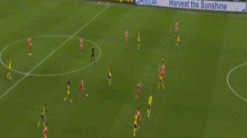 哈尔滨亚冬会中国滑雪登山队力争“巅峰”竞赛佳绩