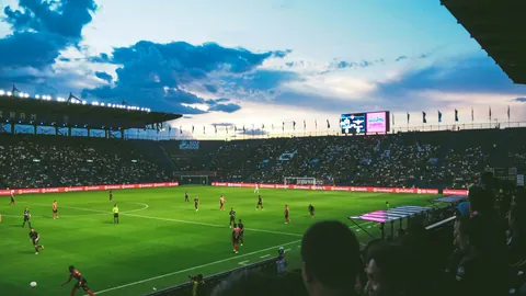 张清淳与邓智瑄荣获国际武联2025年度运动员大奖